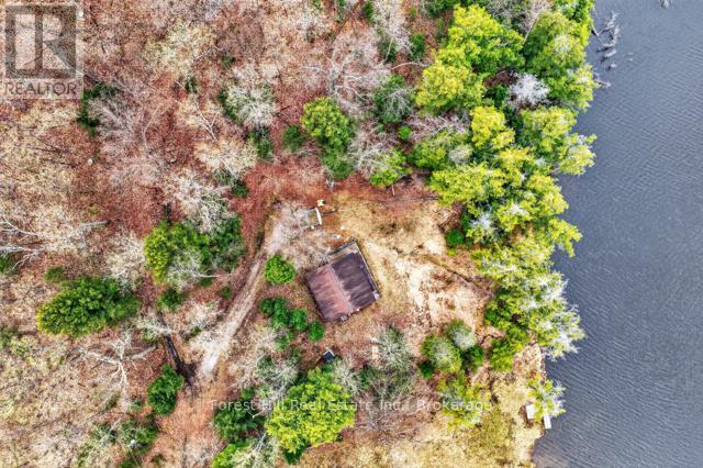 4698 Muskoka Rd 117 Highway, Lake Of Bays, Ontario P0B 1A0 - Photo 44 - X13108074