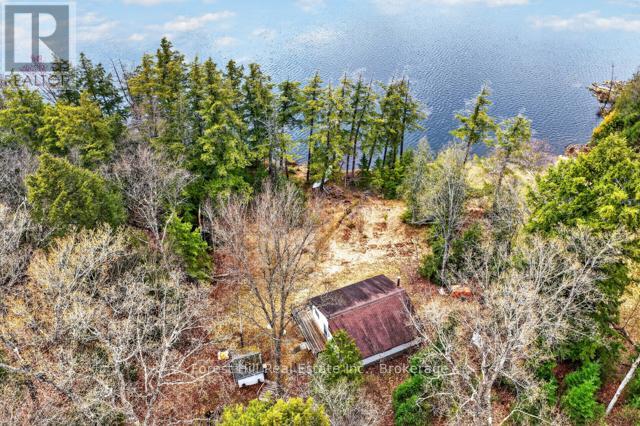 4698 Muskoka Rd 117 Highway, Lake Of Bays, Ontario P0B 1A0 - Photo 45 - X13108074