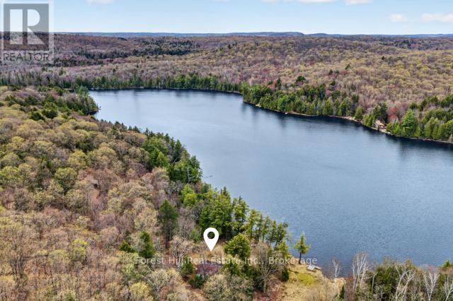 4698 Muskoka Rd 117 Highway, Lake Of Bays, Ontario P0B 1A0 - Photo 46 - X13108074