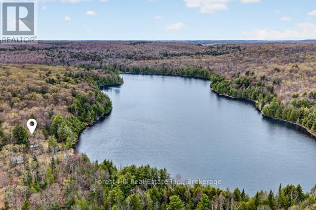 4698 Muskoka Rd 117 Highway, Lake Of Bays, Ontario P0B 1A0 - Photo 47 - X13108074
