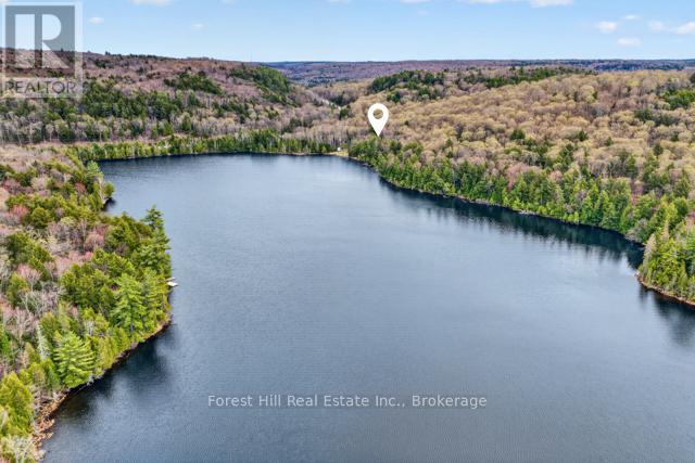 4698 Muskoka Rd 117 Highway, Lake Of Bays, Ontario P0B 1A0 - Photo 48 - X13108074