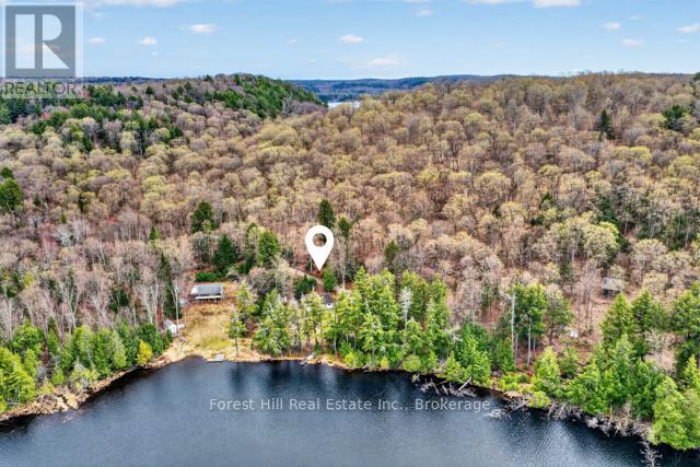 4698 Muskoka Rd 117 Highway, Lake Of Bays, Ontario P0B 1A0 - Photo 50 - X13108074