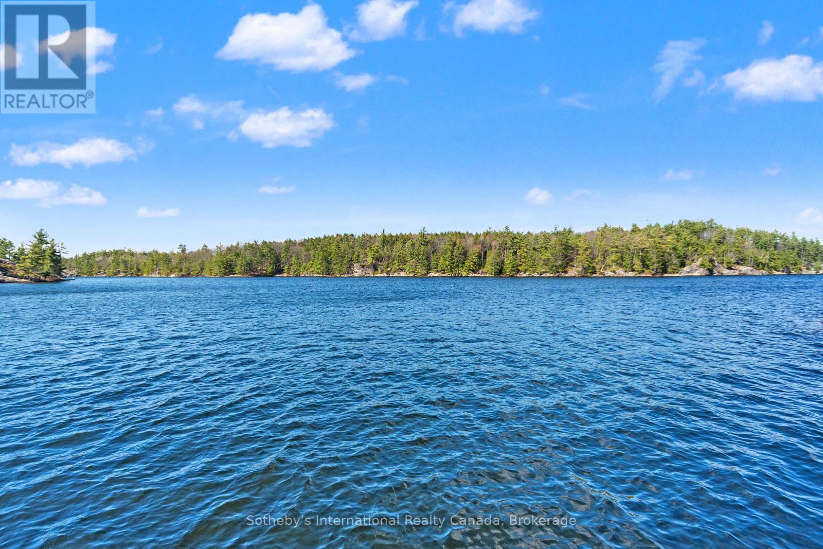 2542 Go Home Lake Shore, Georgian Bay, Ontario  L0K 1S0 - Photo 43 - X13109370