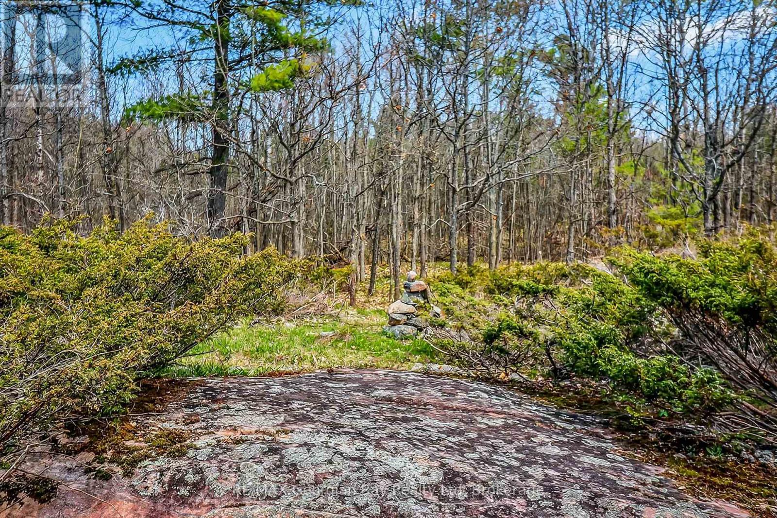 1432 Honey Harbour Road, Georgian Bay, Ontario L0K 1S0 - Photo 33 - X13112782