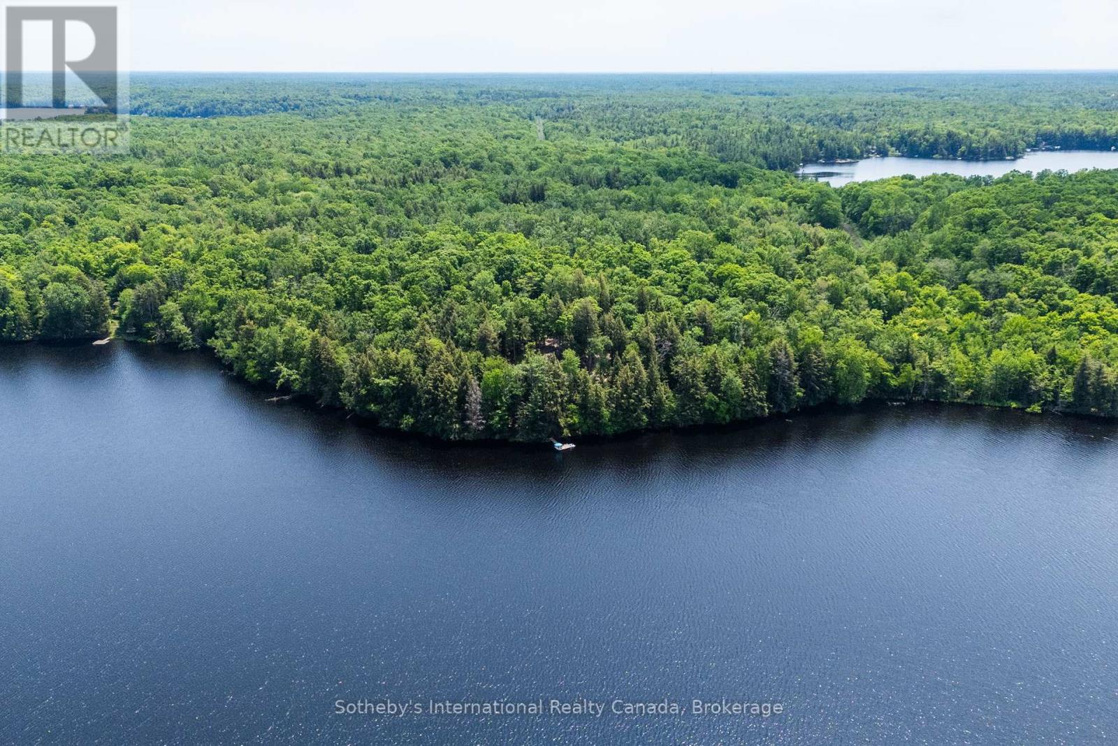 6 - 8091 Lake Joseph Road, Muskoka Lakes, Ontario  P0C 1H0 - Photo 2 - X13113934