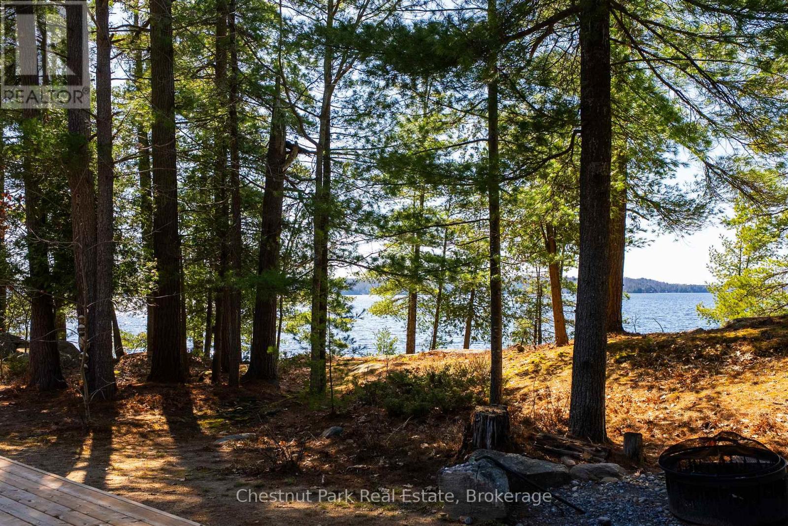 1226 Rosseau Lake Road 3 Road, Muskoka Lakes, Ontario P0B 1M0 - Photo 11 - X13116606