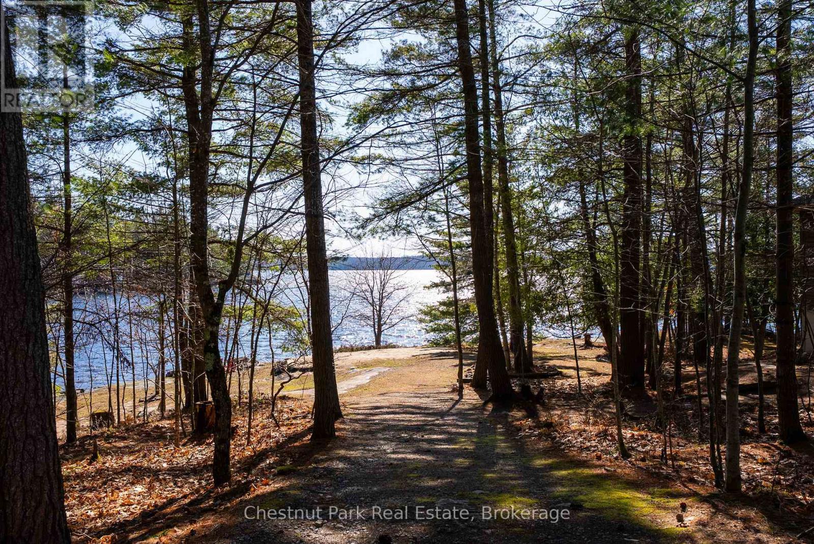 1226 Rosseau Lake Road 3 Road, Muskoka Lakes, Ontario P0B 1M0 - Photo 13 - X13116606