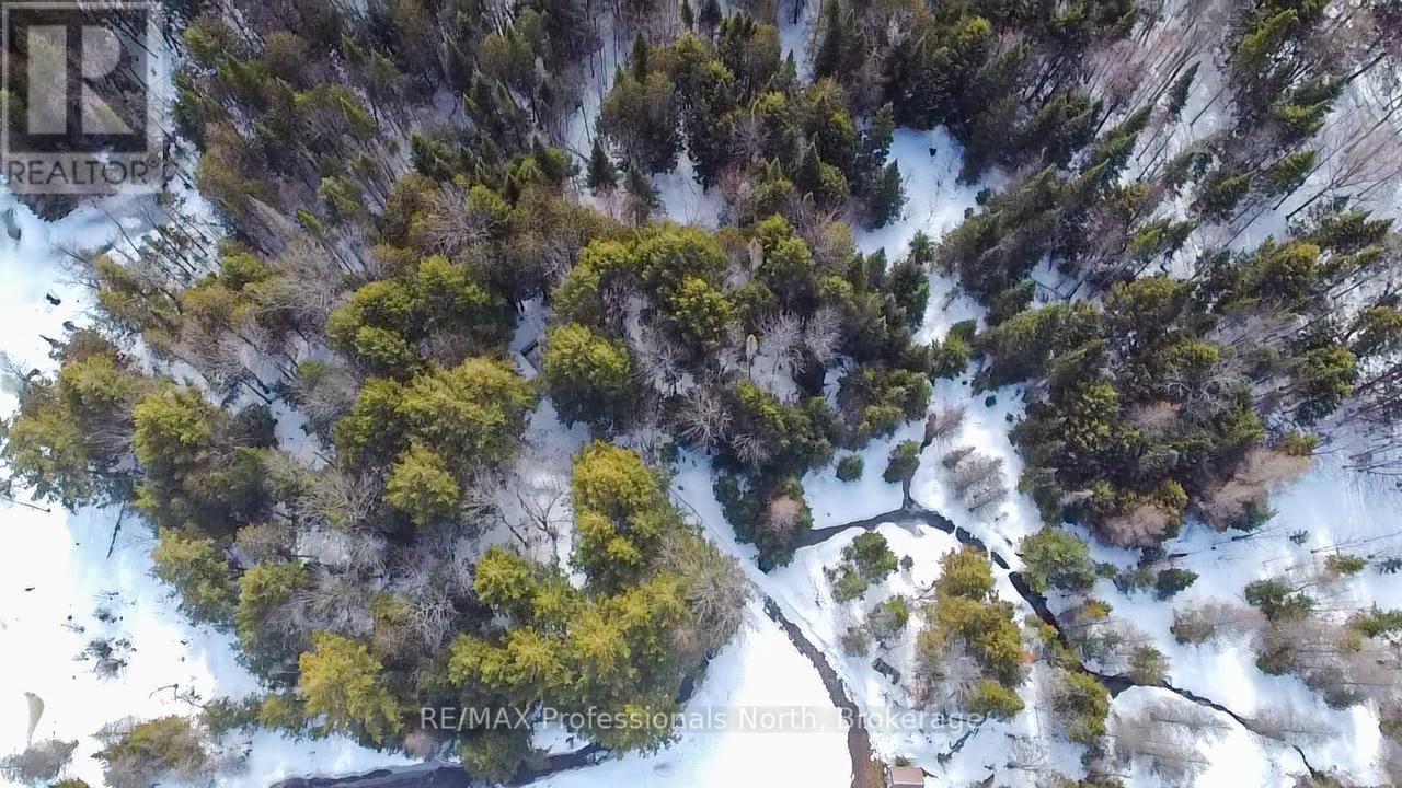2315 Aspdin Road, Huntsville, Ontario P0B 1M0 - Photo 37 - X13116914