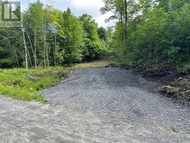 4 Mcnaughts Road, Seguin, Ontario  P2A 2W9 - Photo 1 - X13117030
