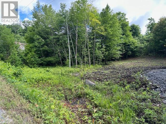 4 Mcnaughts Road, Seguin, Ontario  P2A 2W9 - Photo 2 - X13117030