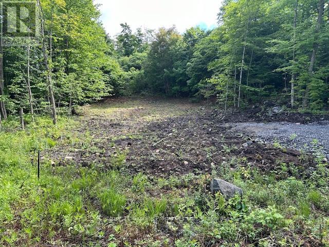 4 Mcnaughts Road, Seguin, Ontario  P2A 2W9 - Photo 3 - X13117030