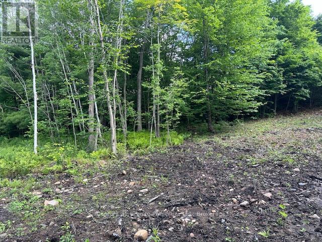 4 Mcnaughts Road, Seguin, Ontario  P2A 2W9 - Photo 6 - X13117030