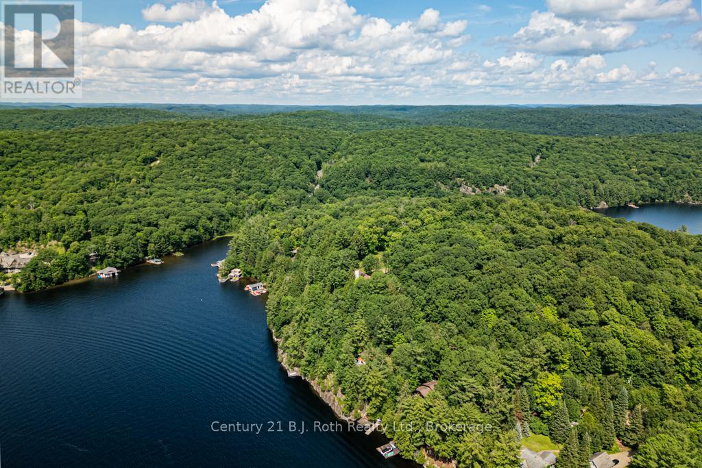 1033 Bayview Point Road, Lake Of Bays, Ontario P0A 1H0 - Photo 33 - X13117808