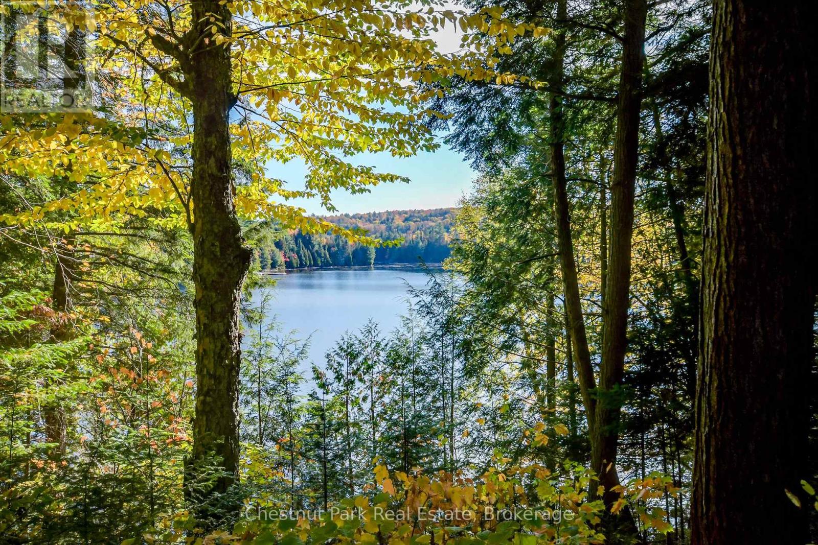 1023 Roly Lane, Lake Of Bays, Ontario P1H 2J6 - Photo 5 - X13120262