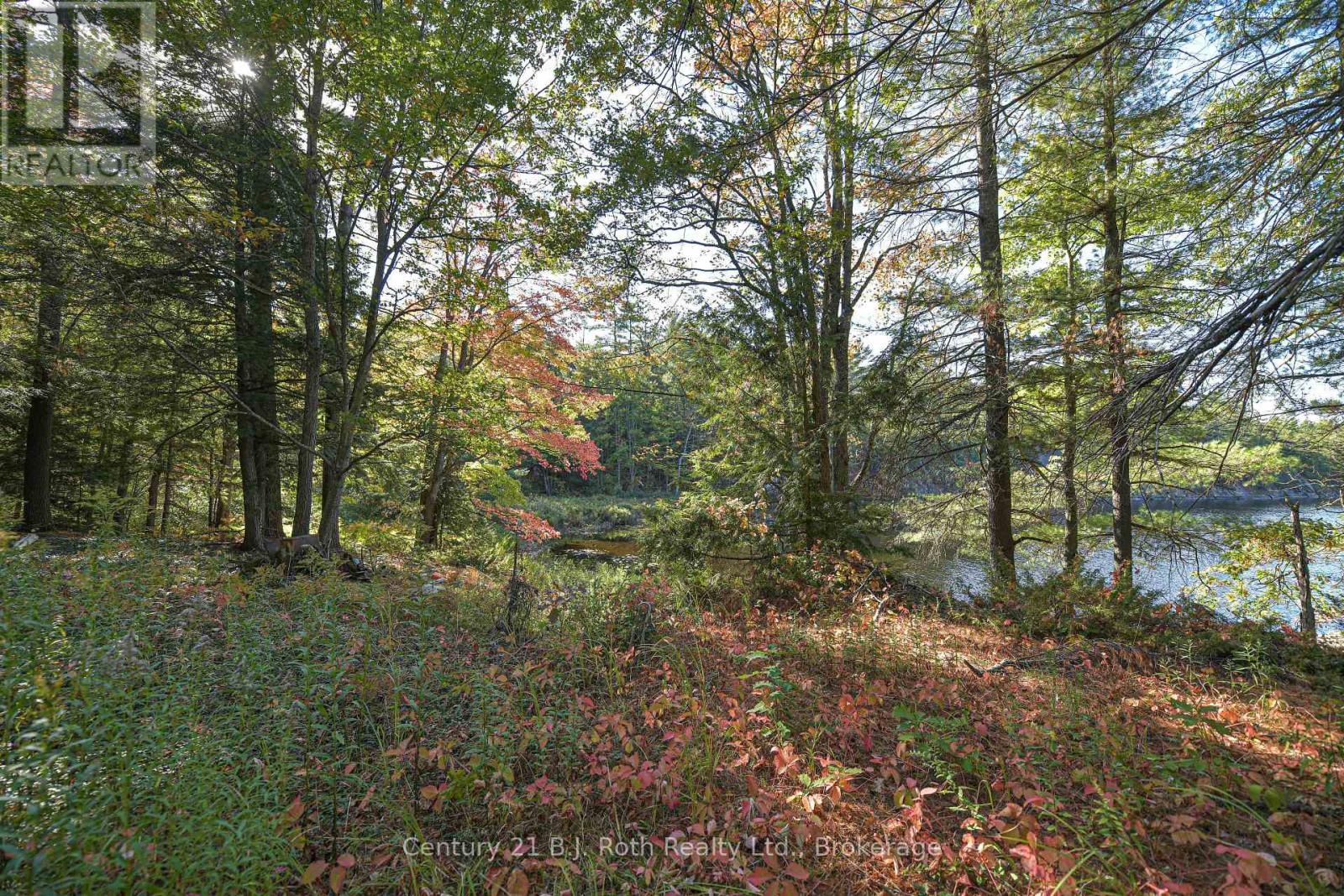 1112 Sam Cook Road, Gravenhurst, Ontario  P1P 1R3 - Photo 11 - X13122590