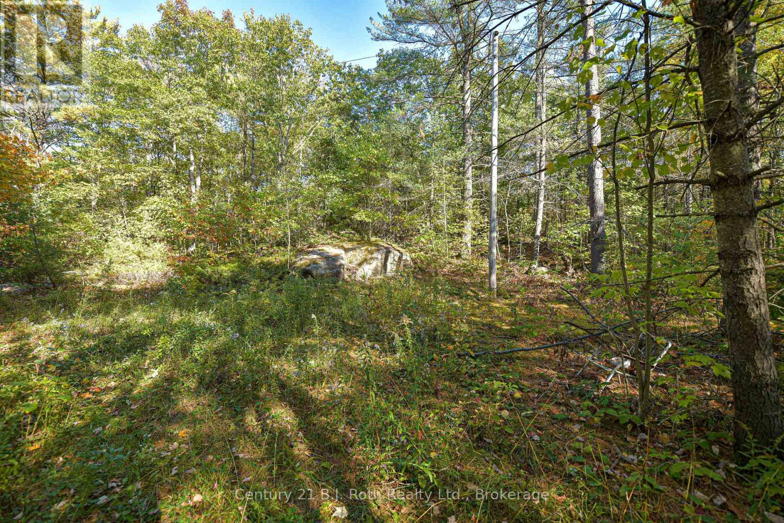 1112 Sam Cook Road, Gravenhurst, Ontario  P1P 1R3 - Photo 12 - X13122590