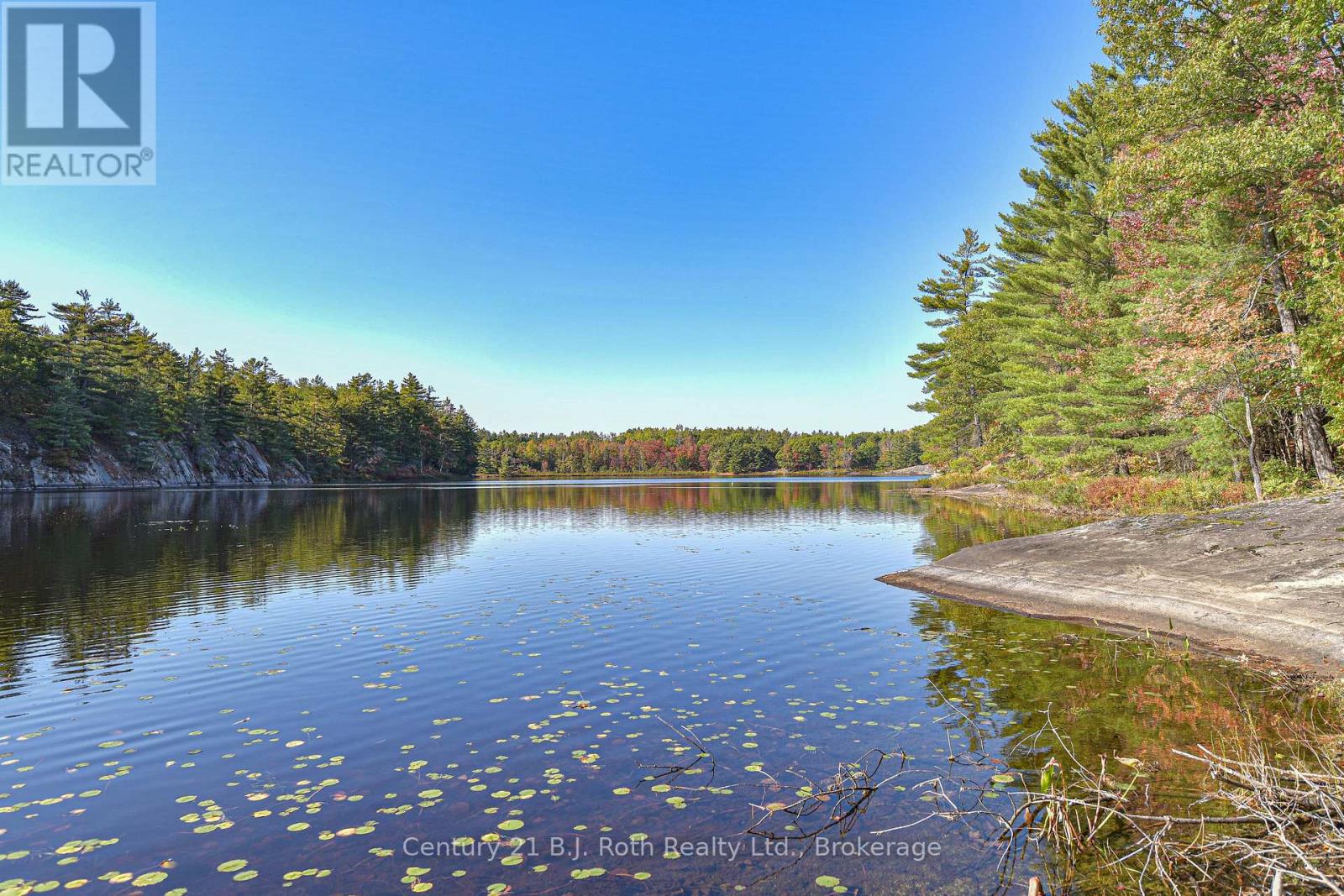 1112 Sam Cook Road, Gravenhurst, Ontario  P1P 1R3 - Photo 6 - X13122590