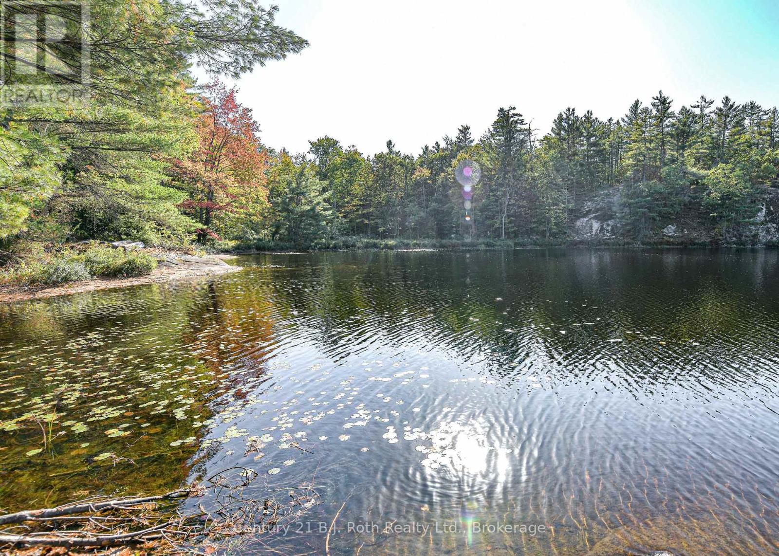 1112 Sam Cook Road, Gravenhurst, Ontario  P1P 1R3 - Photo 8 - X13122590
