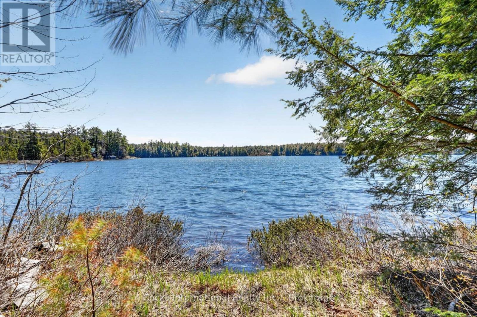 1165 Spring Lake Road, Bracebridge, Ontario P1L 1X1 - Photo 10 - X13123512