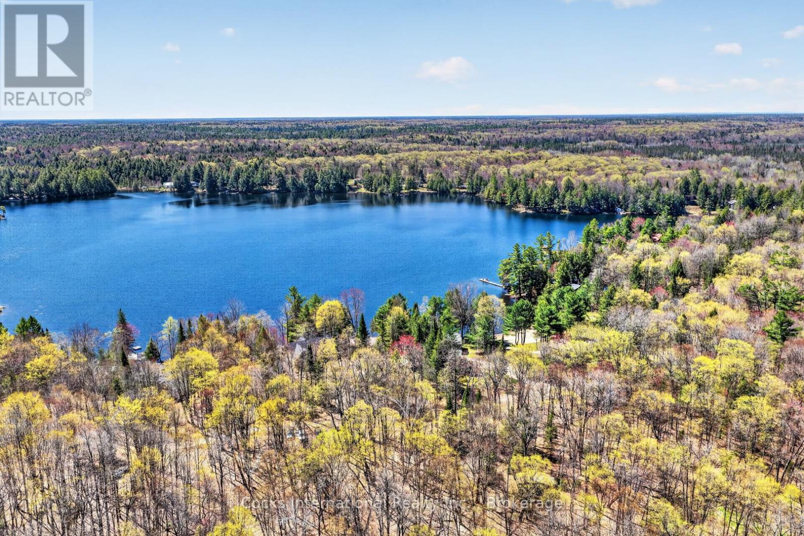 1165 Spring Lake Road, Bracebridge, Ontario P1L 1X1 - Photo 12 - X13123512
