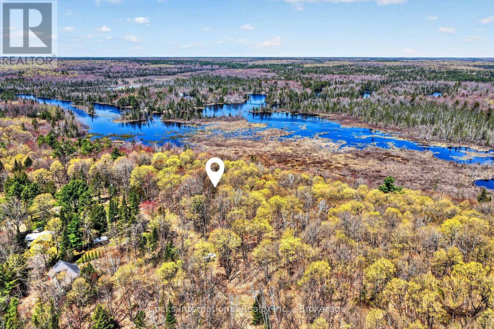 1165 Spring Lake Road, Bracebridge, Ontario P1L 1X1 - Photo 13 - X13123512