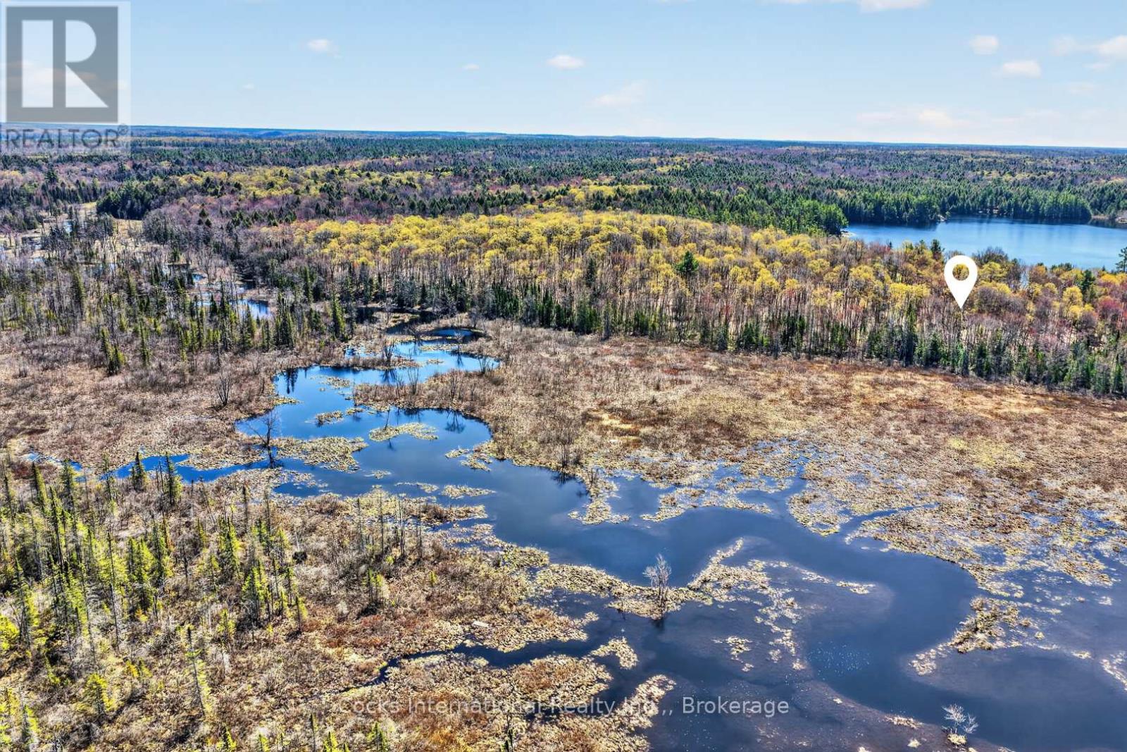 1165 Spring Lake Road, Bracebridge, Ontario P1L 1X1 - Photo 14 - X13123512