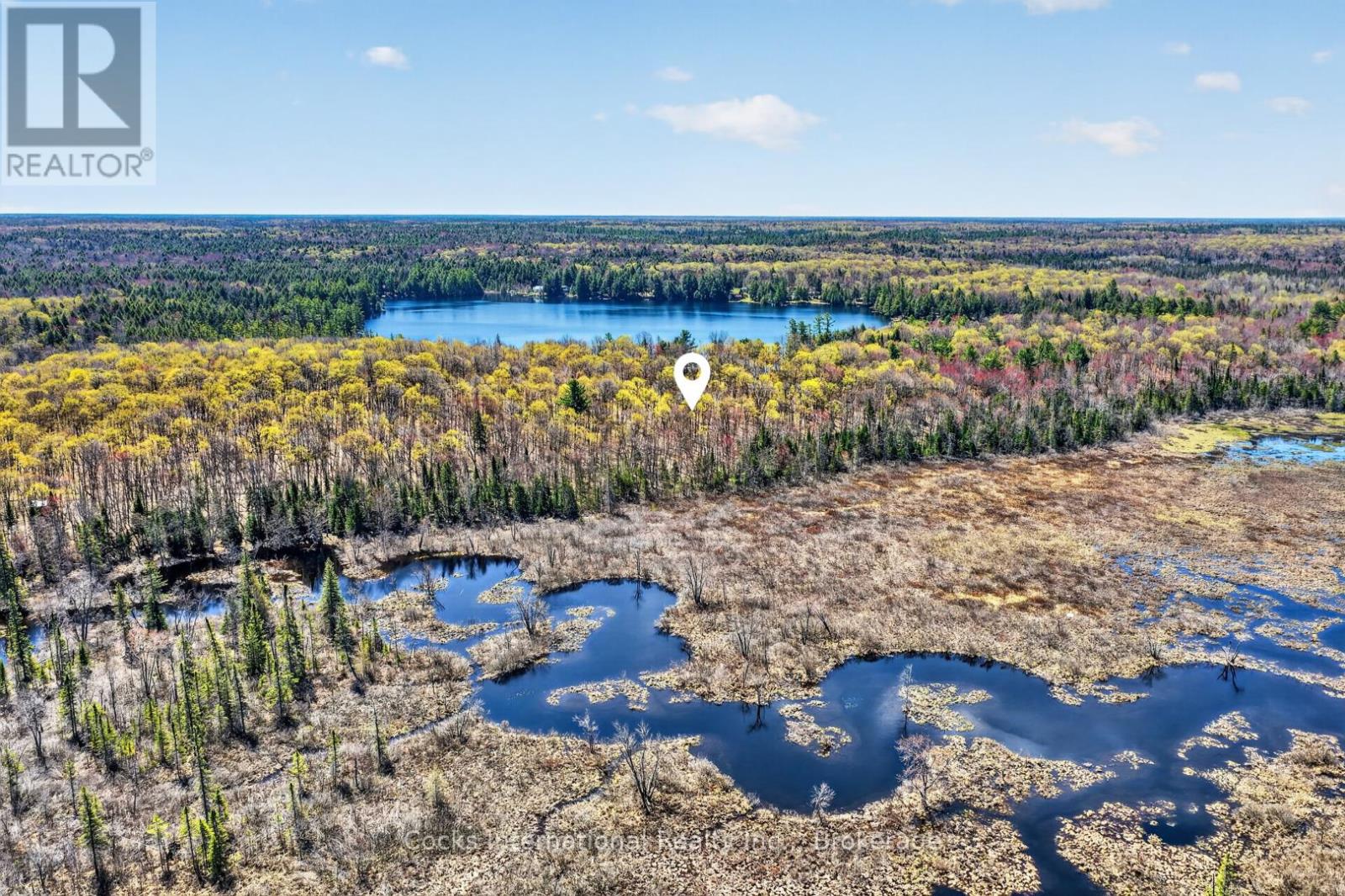 1165 Spring Lake Road, Bracebridge, Ontario P1L 1X1 - Photo 15 - X13123512