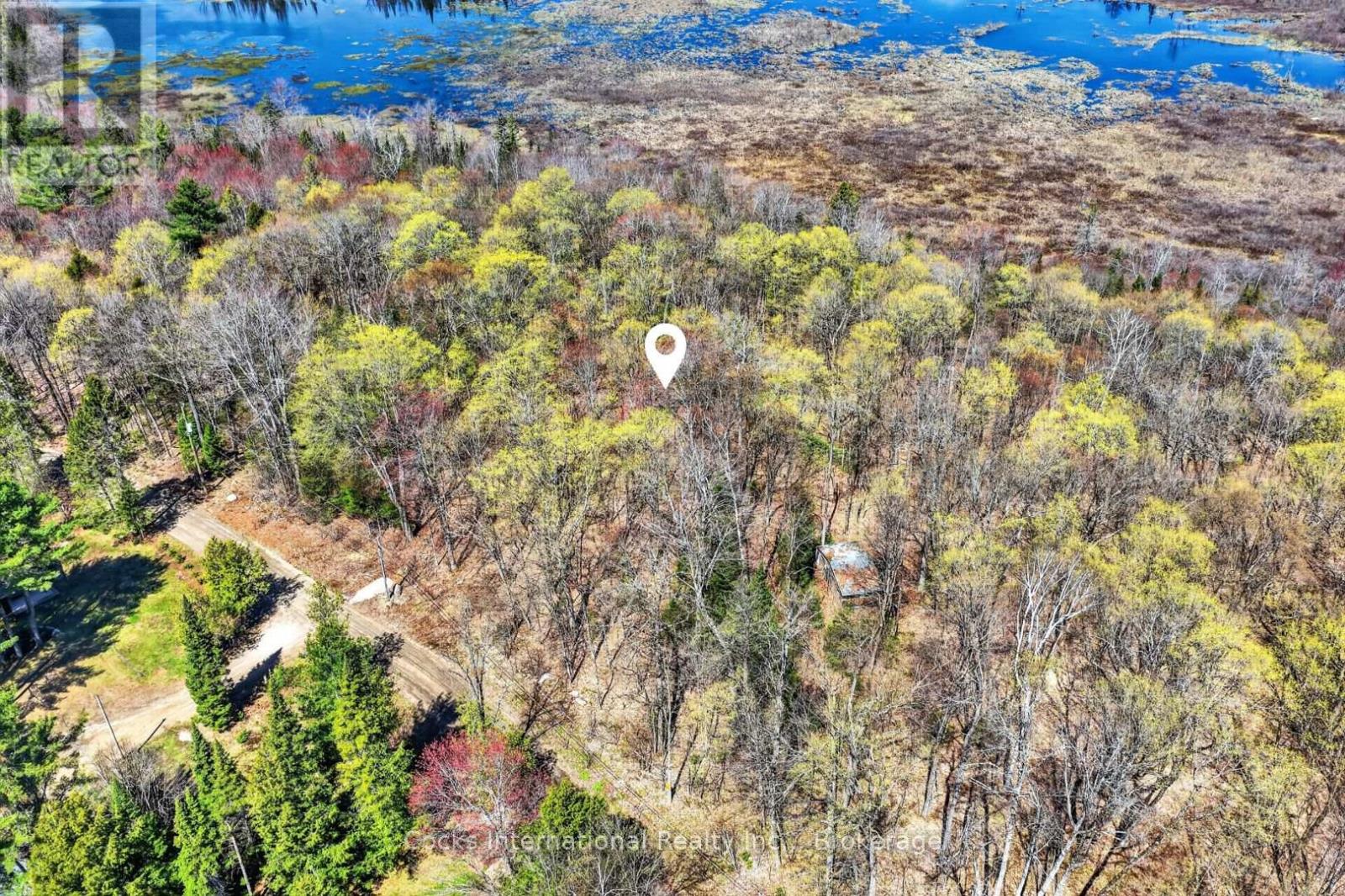 1165 Spring Lake Road, Bracebridge, Ontario P1L 1X1 - Photo 17 - X13123512