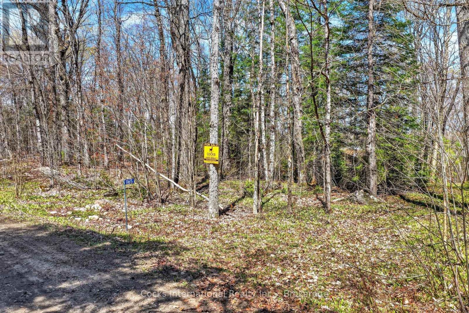 1165 Spring Lake Road, Bracebridge, Ontario P1L 1X1 - Photo 19 - X13123512