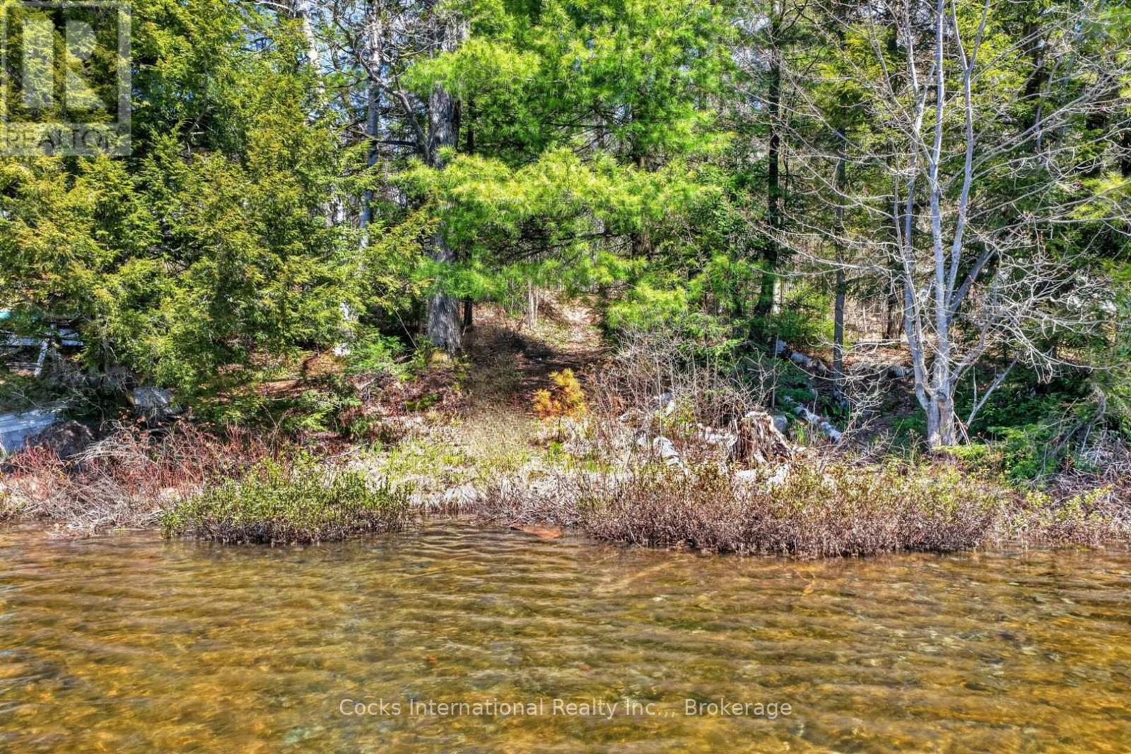1165 Spring Lake Road, Bracebridge, Ontario P1L 1X1 - Photo 2 - X13123512