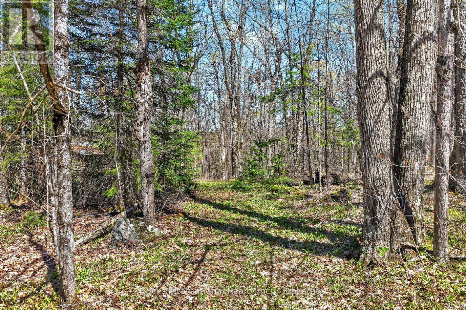 1165 Spring Lake Road, Bracebridge, Ontario P1L 1X1 - Photo 20 - X13123512