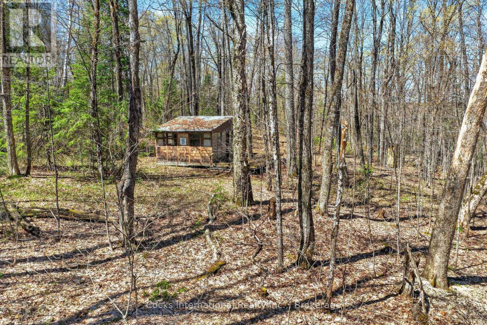 1165 Spring Lake Road, Bracebridge, Ontario P1L 1X1 - Photo 23 - X13123512