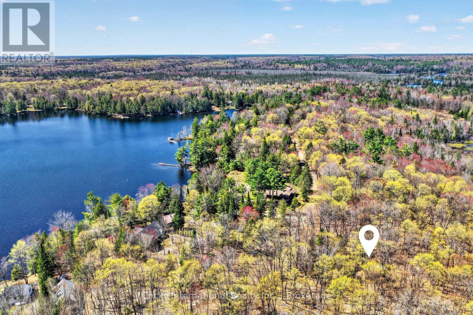 1165 Spring Lake Road, Bracebridge, Ontario P1L 1X1 - Photo 3 - X13123512