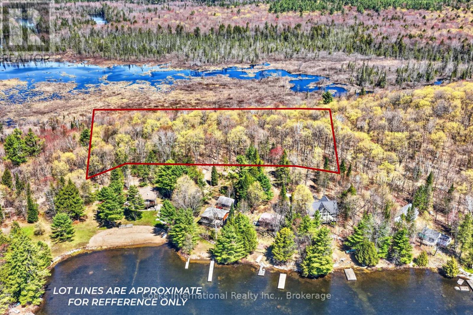 1165 Spring Lake Road, Bracebridge, Ontario P1L 1X1 - Photo 5 - X13123512