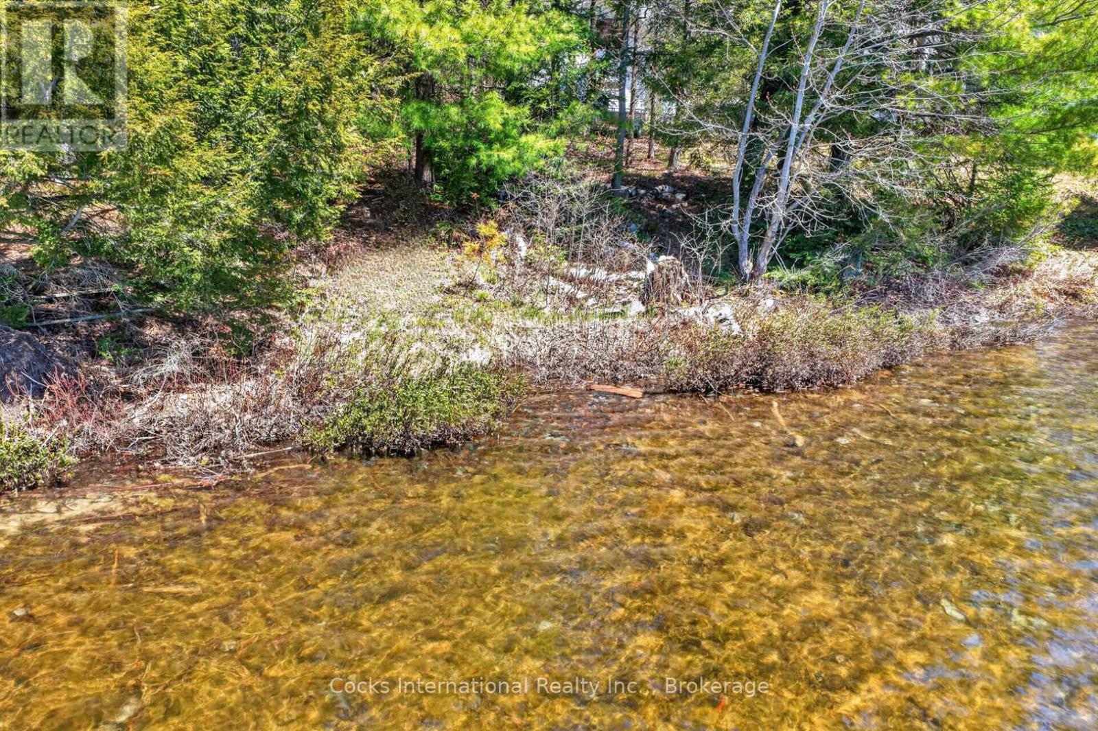 1165 Spring Lake Road, Bracebridge, Ontario P1L 1X1 - Photo 7 - X13123512