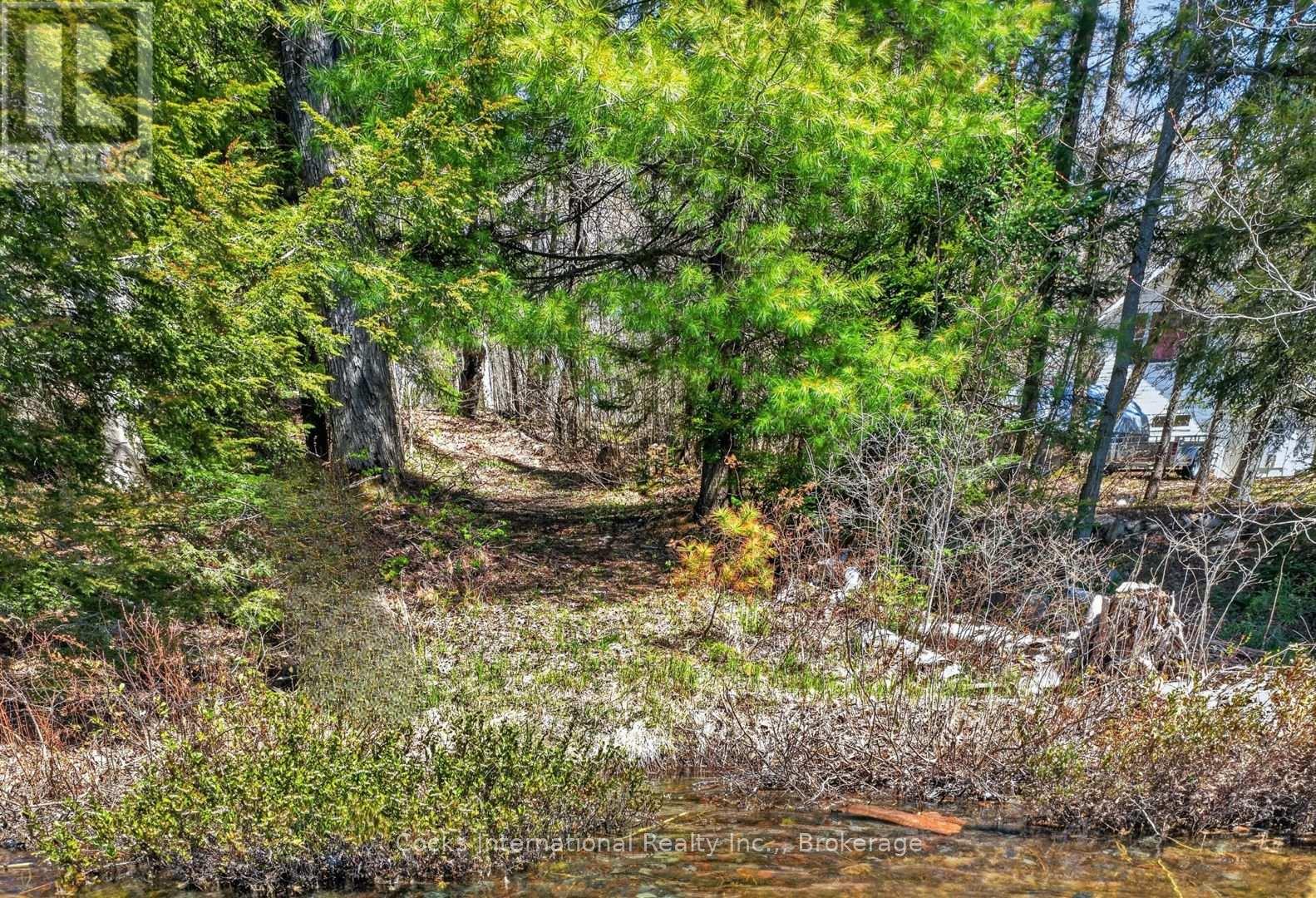 1165 Spring Lake Road, Bracebridge, Ontario P1L 1X1 - Photo 8 - X13123512