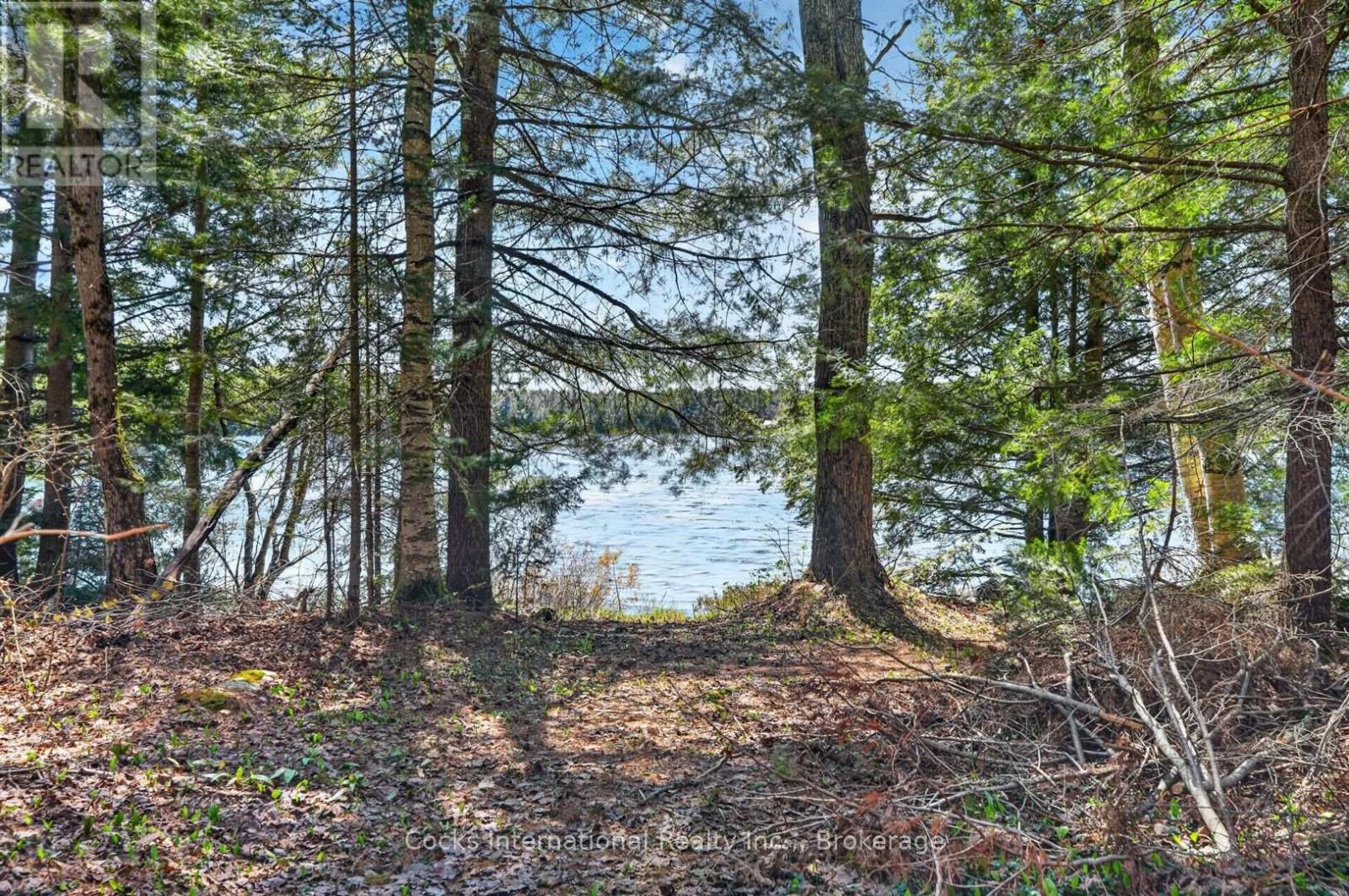 1165 Spring Lake Road, Bracebridge, Ontario P1L 1X1 - Photo 9 - X13123512