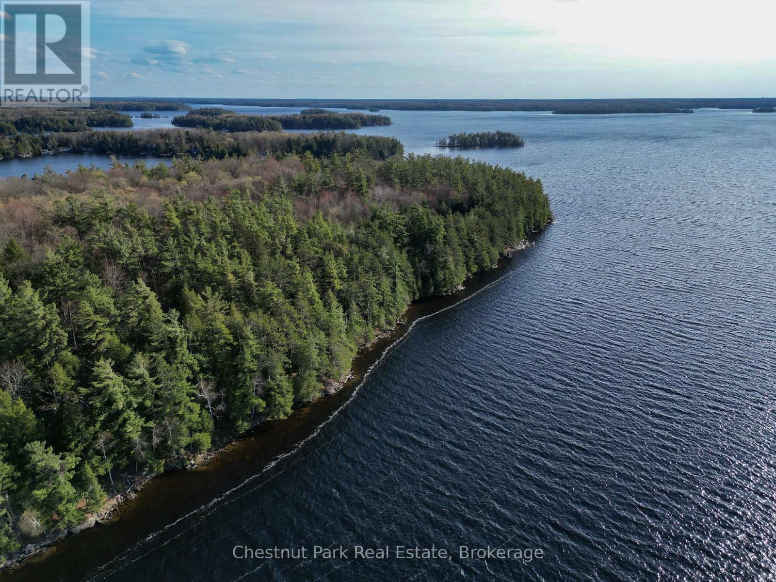 Pine (57 Island M81) Island, Muskoka Lakes, Ontario  P1L 1W8 - Photo 3 - X13123772