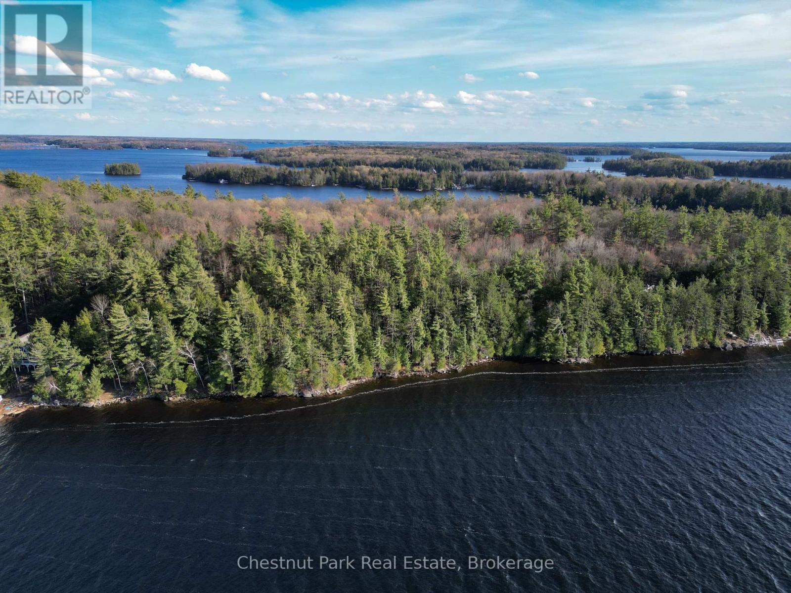 Pine (57 Island M81) Island, Muskoka Lakes, Ontario  P1L 1W8 - Photo 5 - X13123772