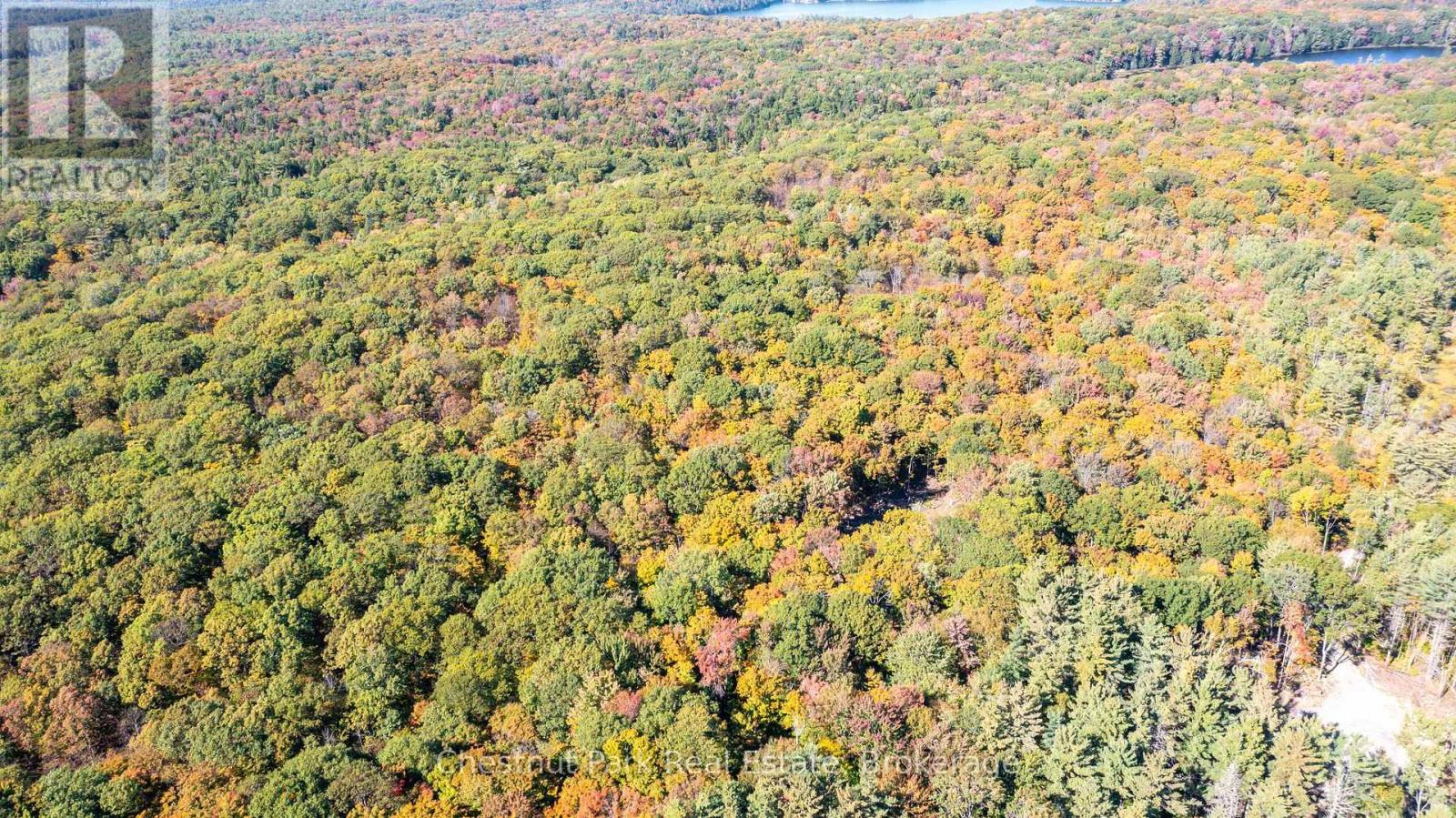 0 Rostrevor Road, Muskoka Lakes, Ontario  P0B 1M0 - Photo 14 - X13124076