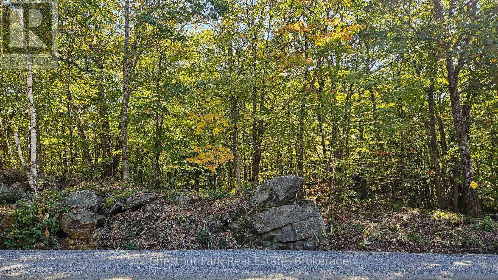 0 Rostrevor Road, Muskoka Lakes, Ontario  P0B 1M0 - Photo 3 - X13124076