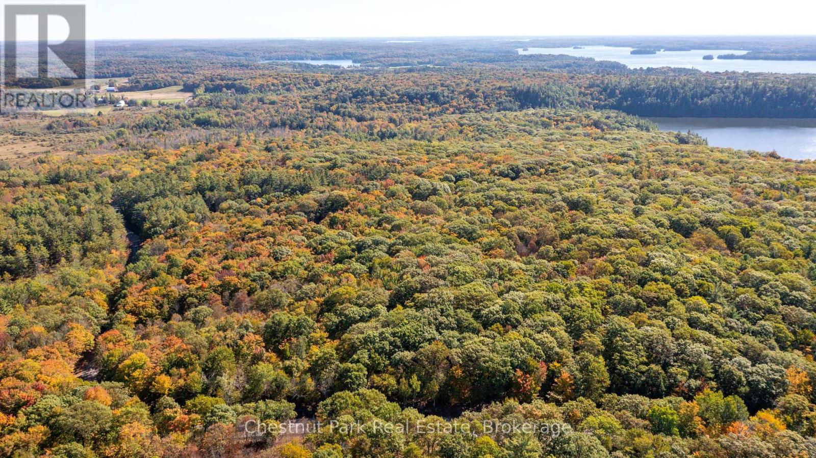 0 Rostrevor Road, Muskoka Lakes, Ontario  P0B 1M0 - Photo 5 - X13124076