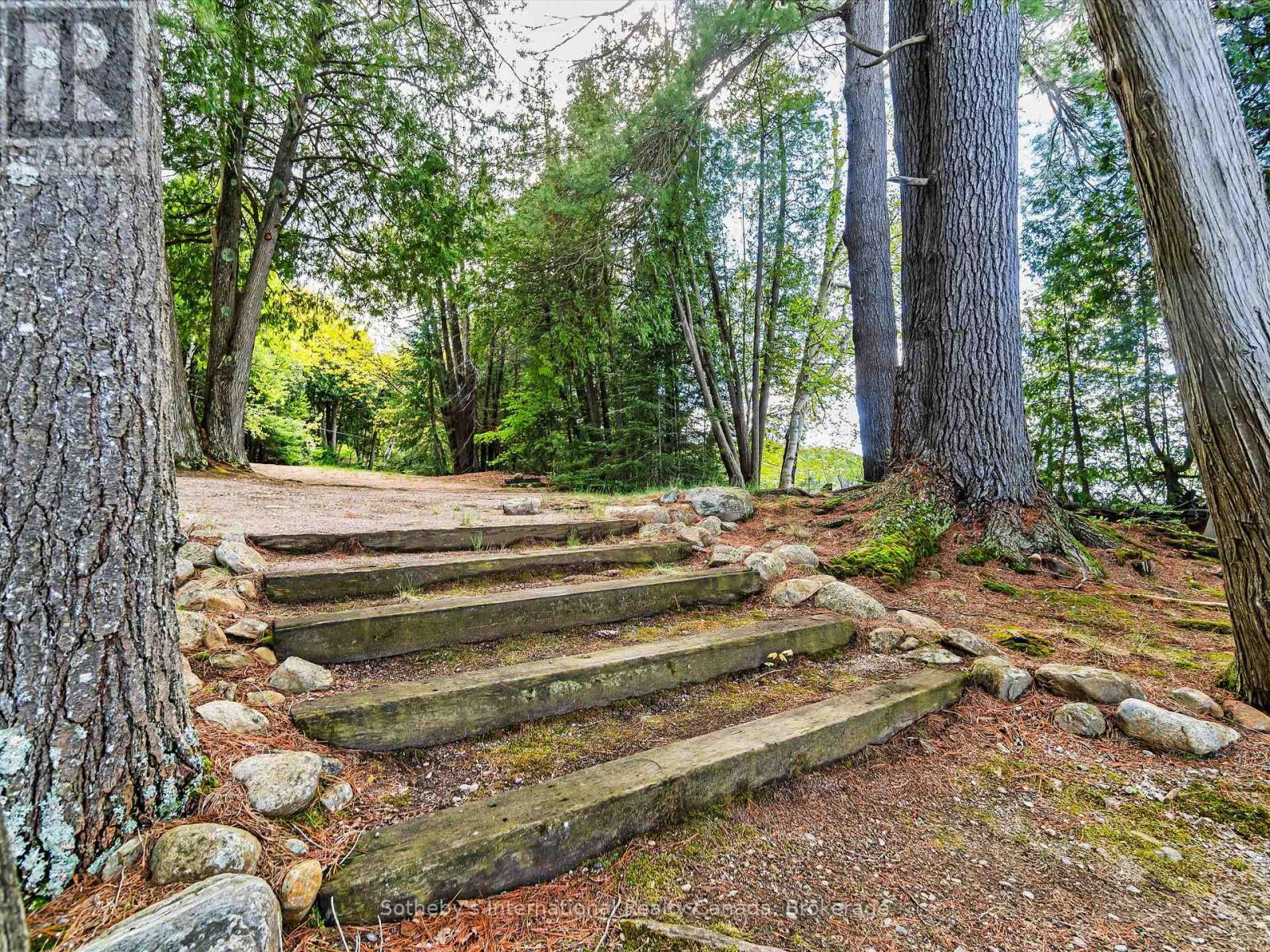 1093 Glenmount Road, Lake Of Bays, Ontario  P0B 1A0 - Photo 19 - X13124910
