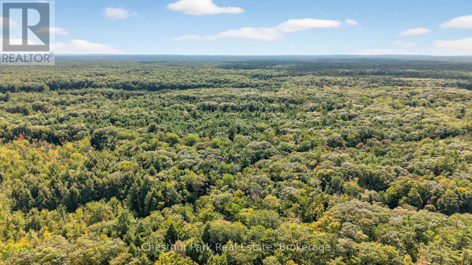 1019 Old Bala Road, Muskoka Lakes, Ontario  P0C 1A0 - Photo 22 - X13127506
