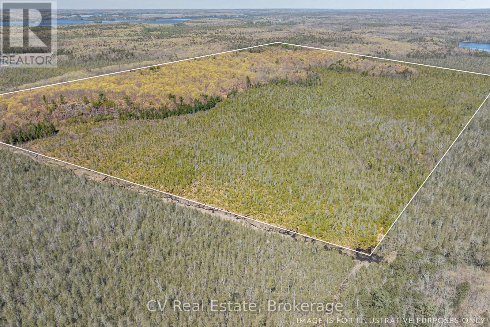 Lot 21 & Lot 22 Con 3, Muskoka Lakes, Ontario  P0B 1M0 - Photo 1 - X13128622
