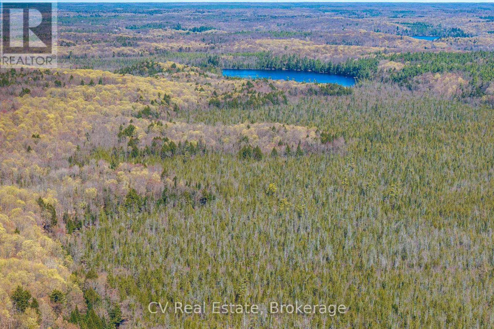 Lot 21 & Lot 22 Con 3, Muskoka Lakes, Ontario  P0B 1M0 - Photo 13 - X13128622