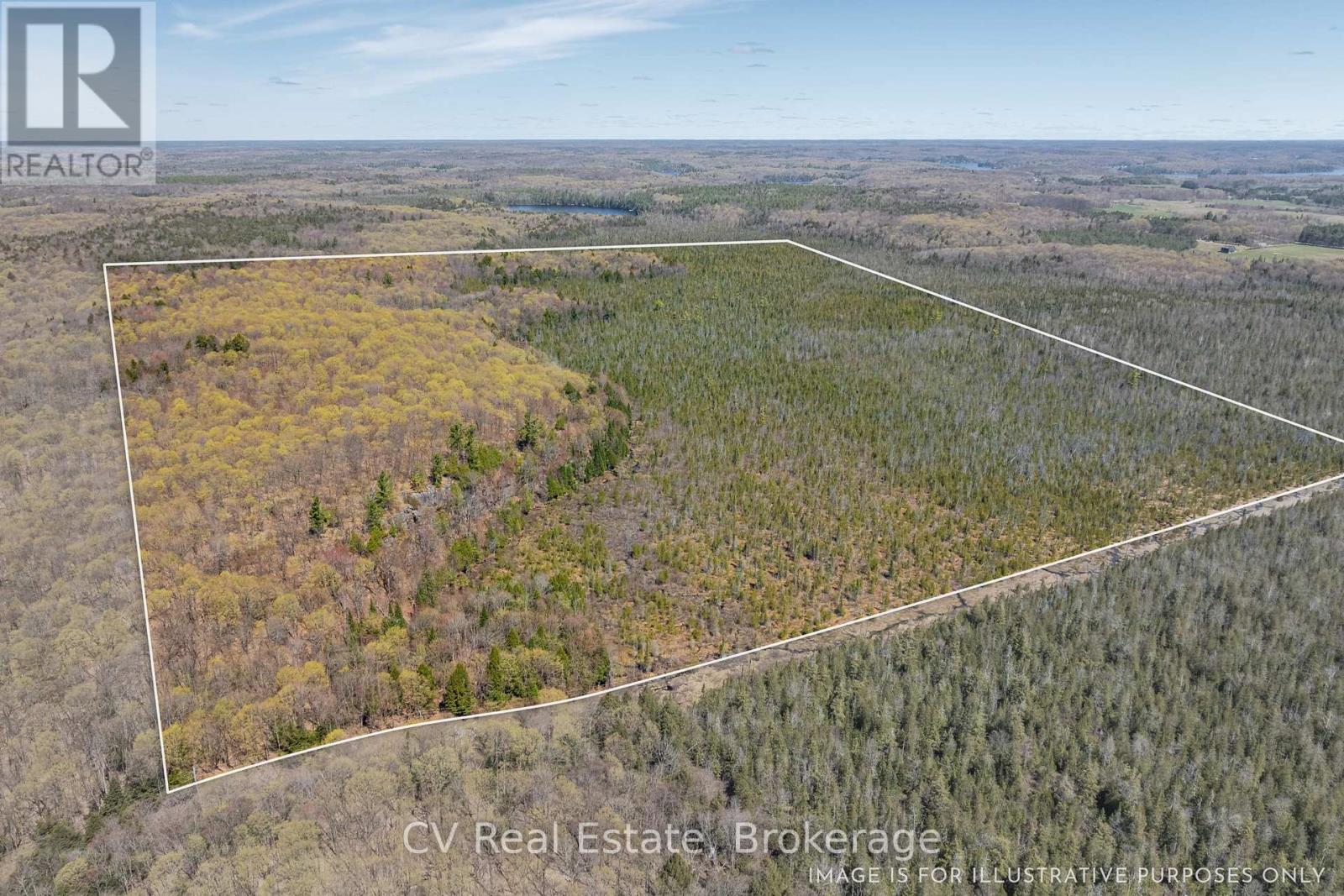Lot 21 & Lot 22 Con 3, Muskoka Lakes, Ontario  P0B 1M0 - Photo 14 - X13128622
