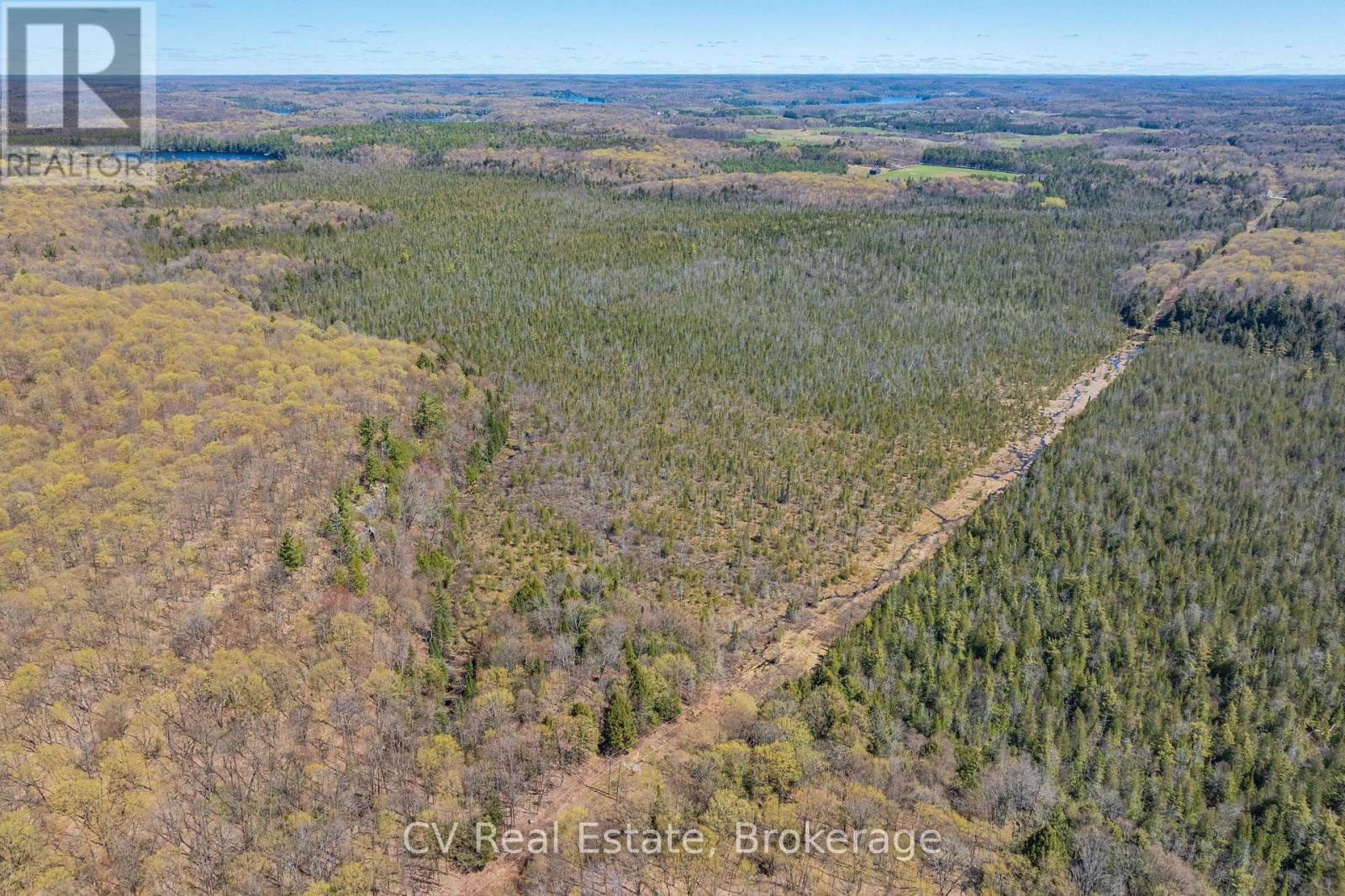 Lot 21 & Lot 22 Con 3, Muskoka Lakes, Ontario  P0B 1M0 - Photo 17 - X13128622