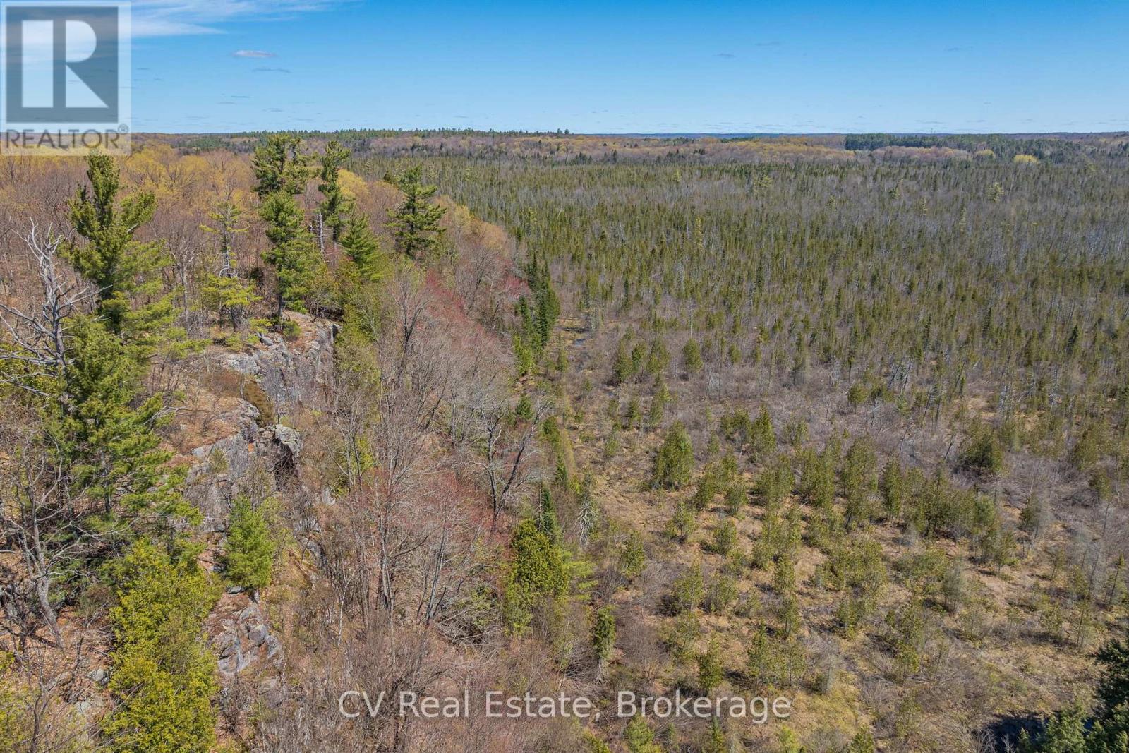 Lot 21 & Lot 22 Con 3, Muskoka Lakes, Ontario  P0B 1M0 - Photo 21 - X13128622