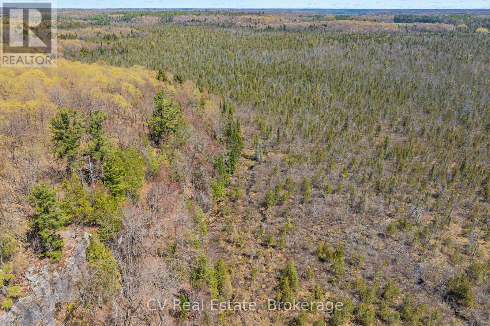 Lot 21 & Lot 22 Con 3, Muskoka Lakes, Ontario  P0B 1M0 - Photo 23 - X13128622